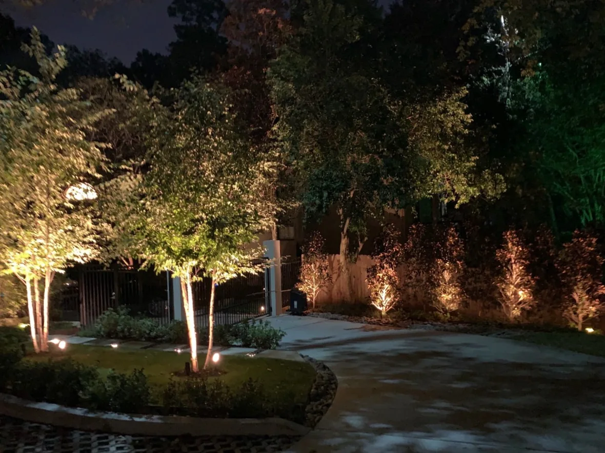 Driveway and mature trees at night where lit and dark areas alternate to create depth