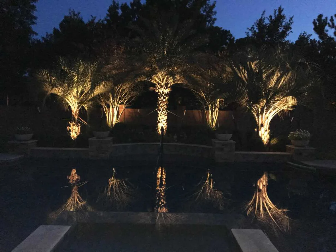 Backyard seen from the house at night, with trees and planting lit beyond the glass