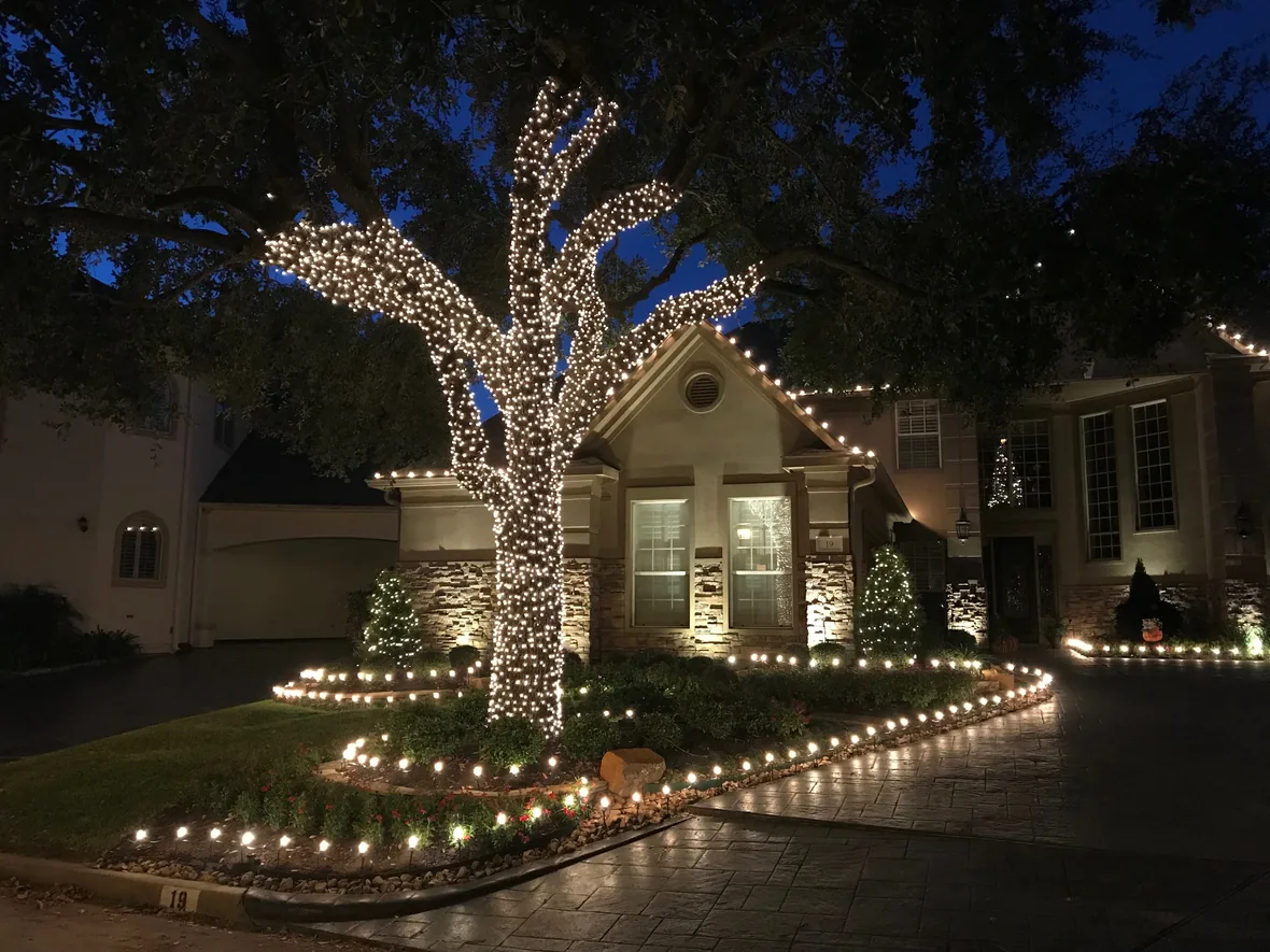 hl-llm-oak-1180.webp Mature oak with lighting in the canopy over a lit house and drive
