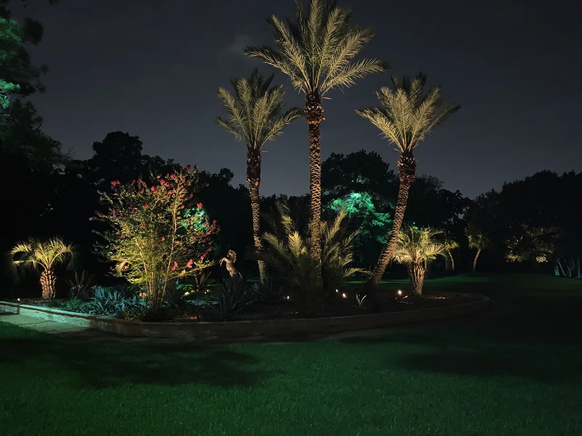 Palms and planting uplit at night on a property with an established lighting system