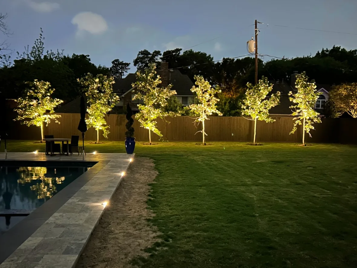 Pool terrace and a line of uplit trees along the boundary of a garden